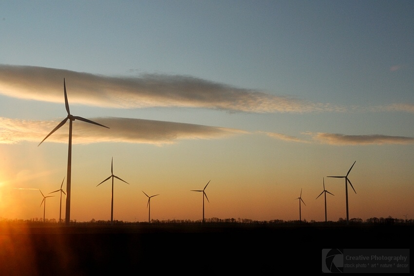 Wind turbines in the field in the sunrise in Austria