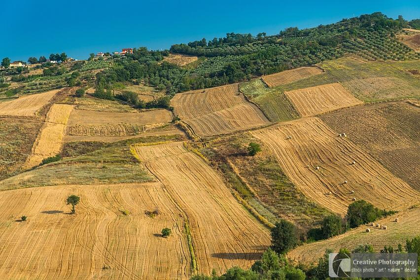 Summer landscape of fields with bales in Italy