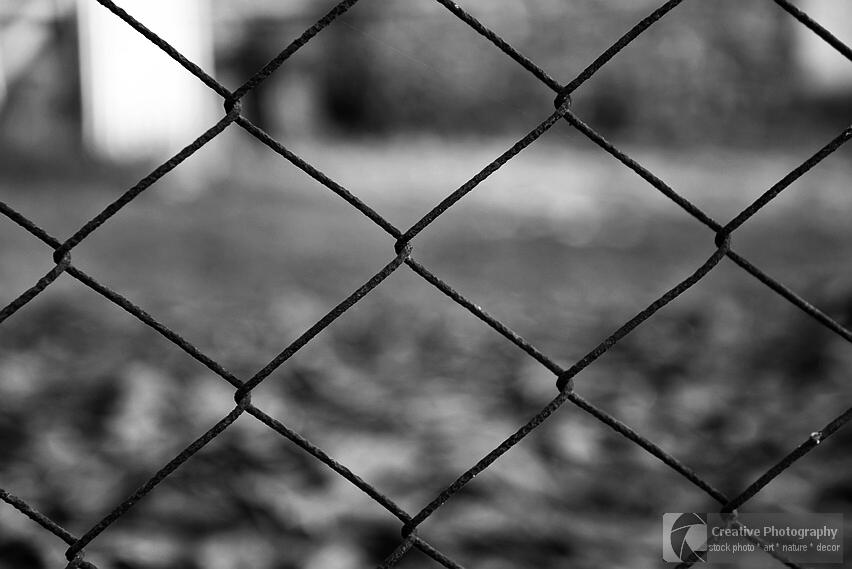 fence in black and white photo
