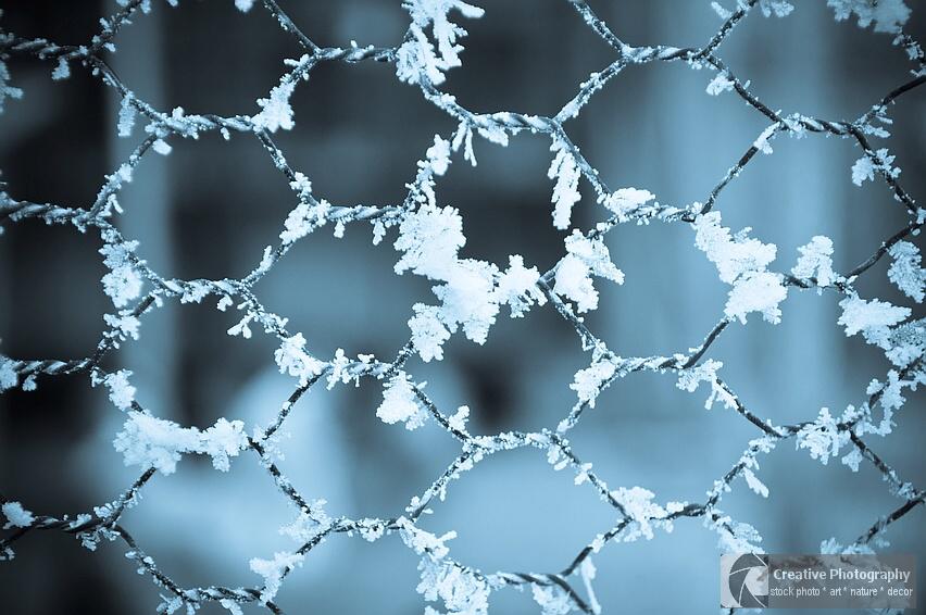Frosty fence in the winter with blue tone