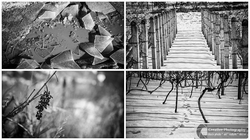 collage from black and white winter photos